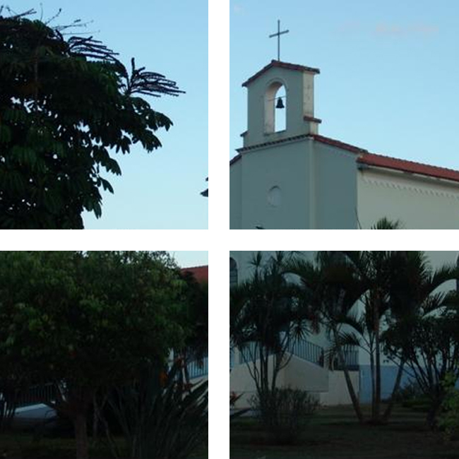 Conheça o Lar São Vicente de Paulo